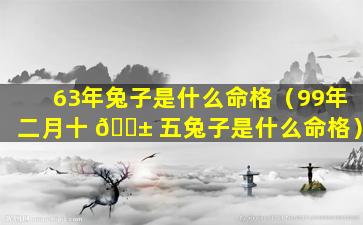 63年兔子是什么命格（99年二月十 🐱 五兔子是什么命格）